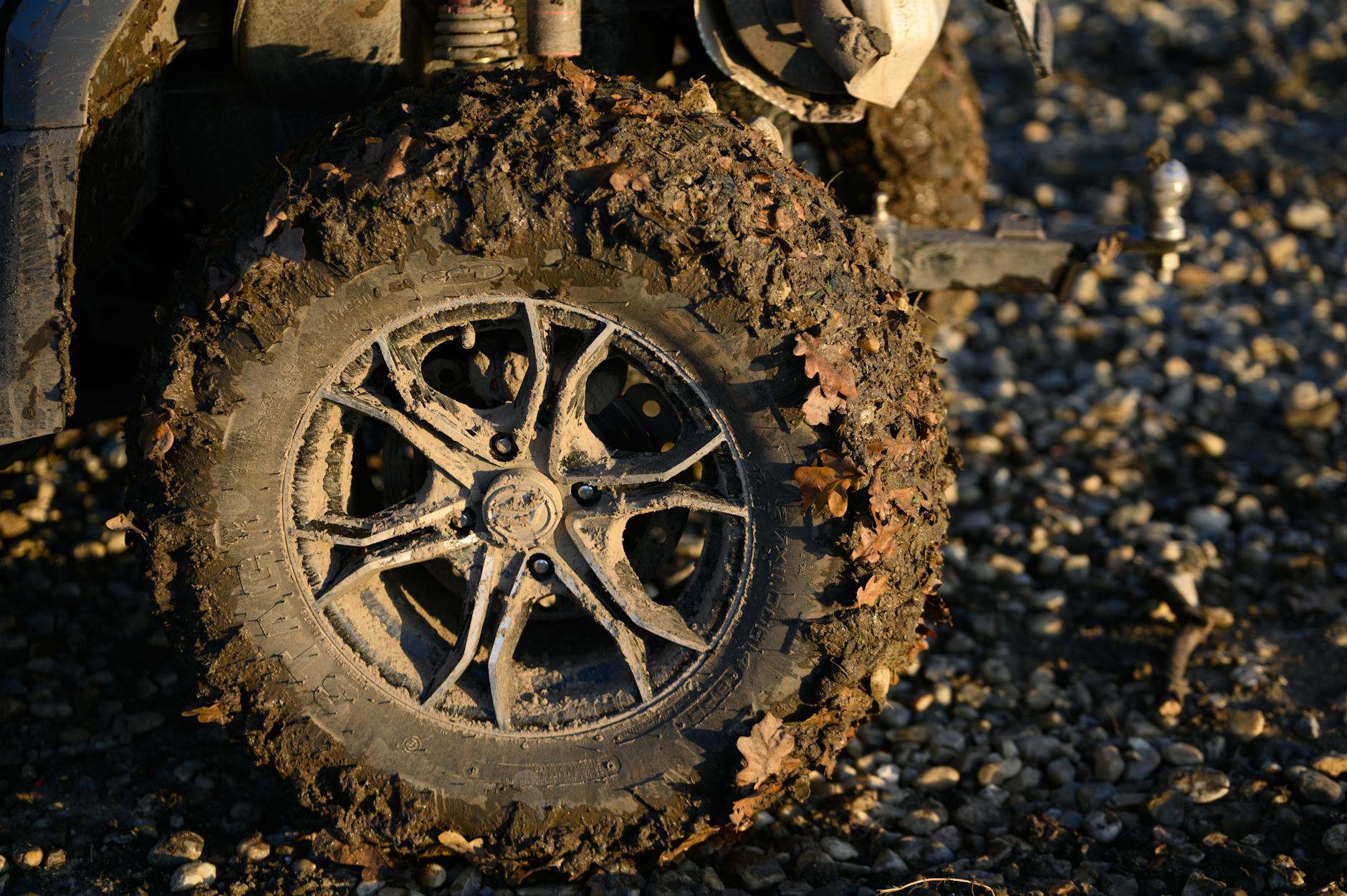 Muddy Pathway With Wheels