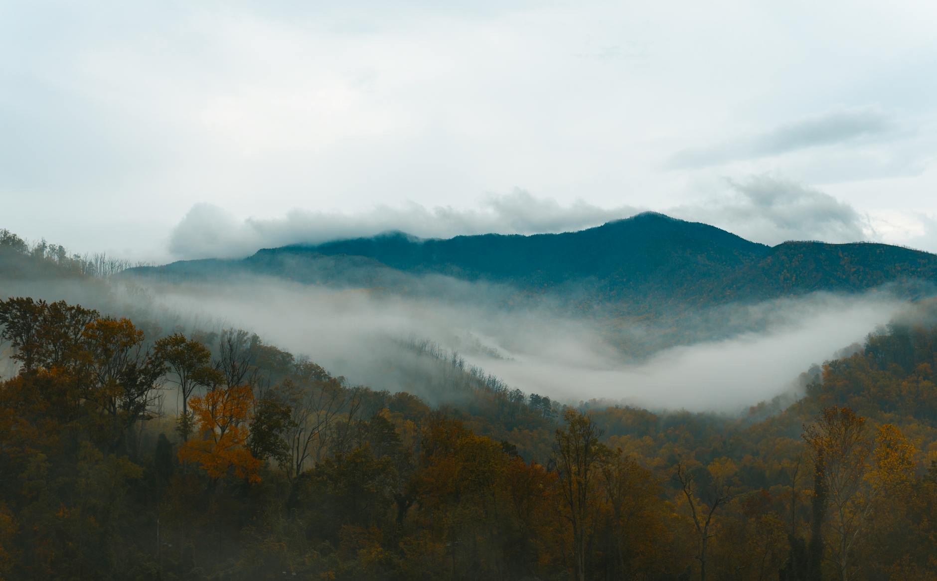 Great Smoky Mountains National Park