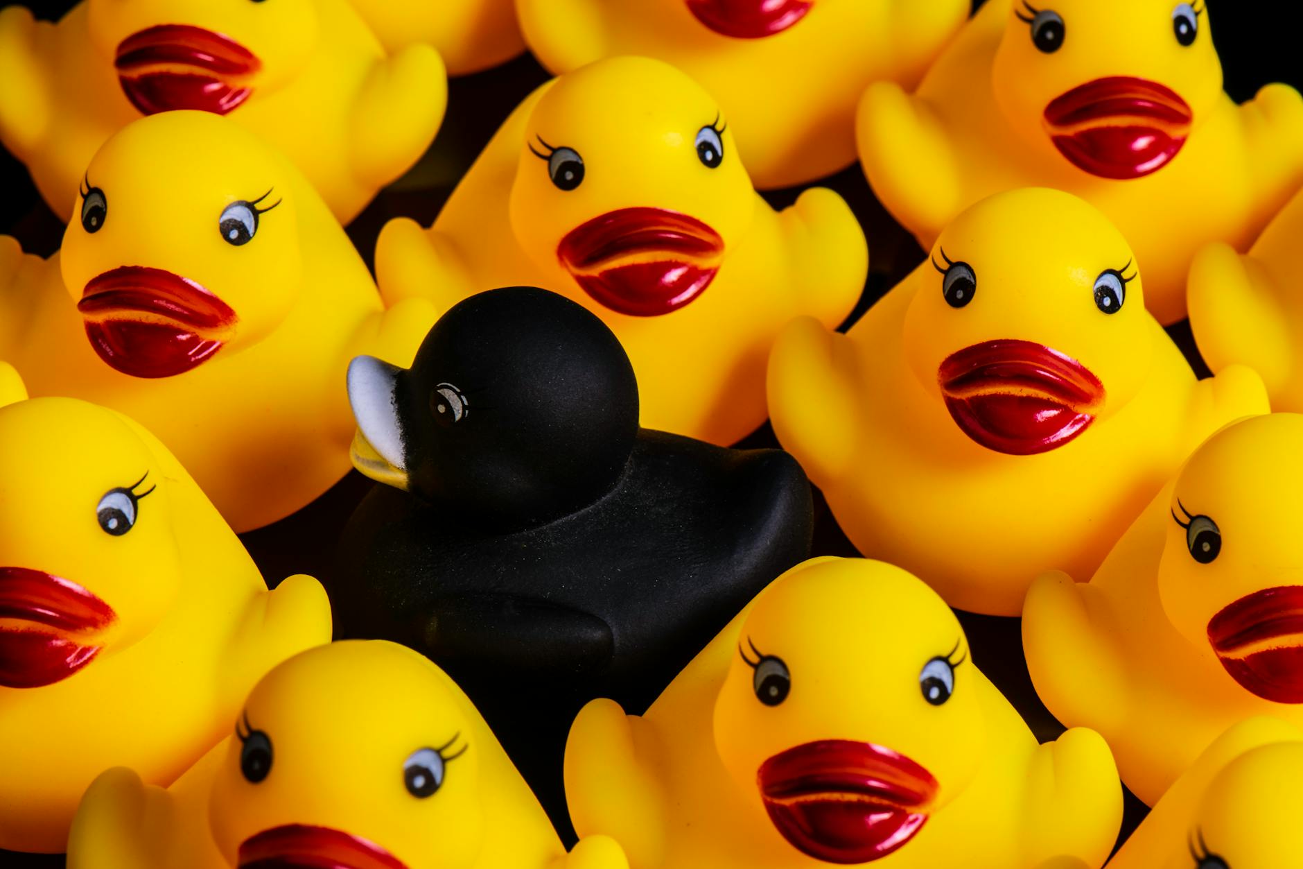 Rubber Ducks