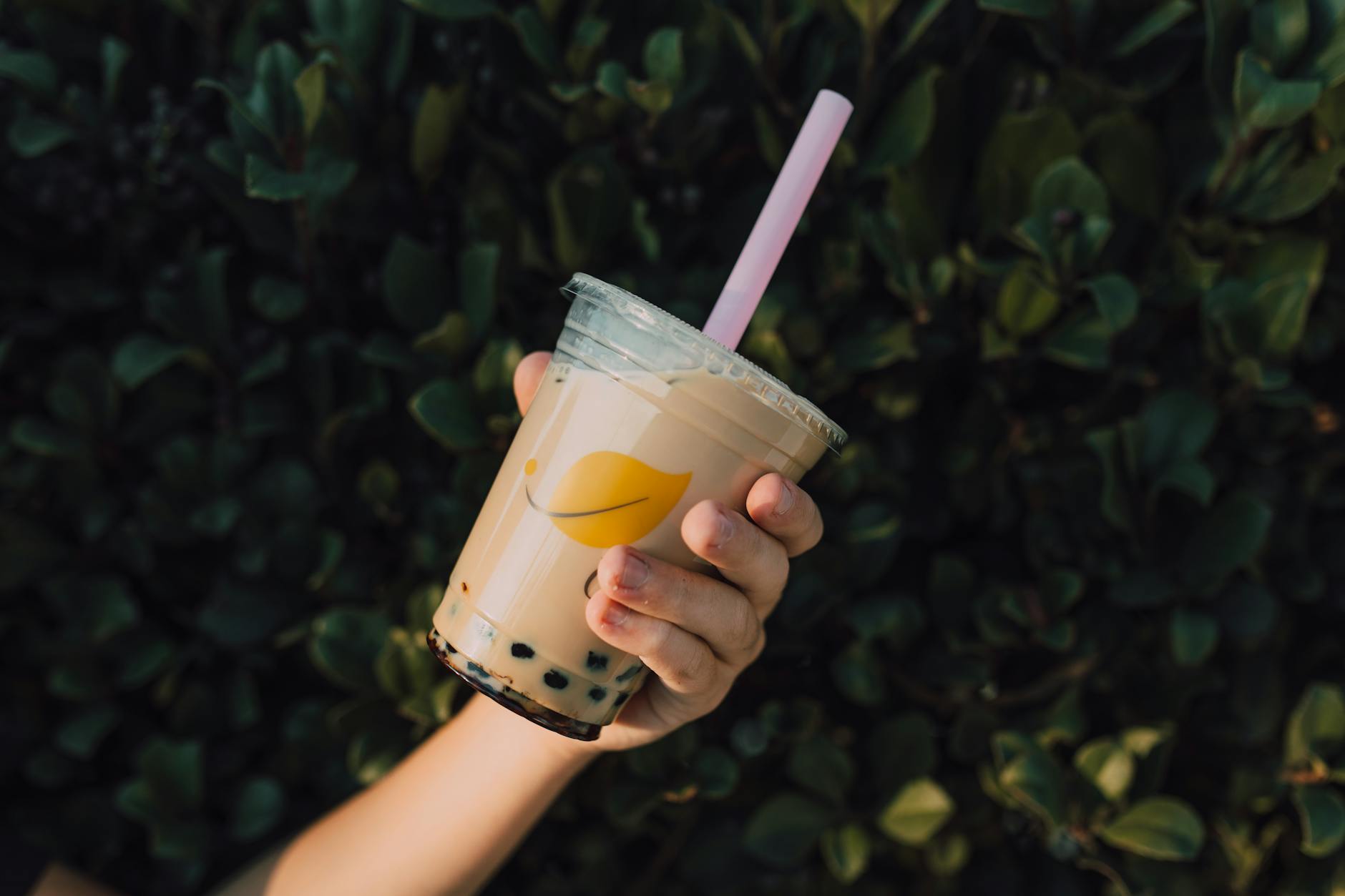 Bubble Tea Drink