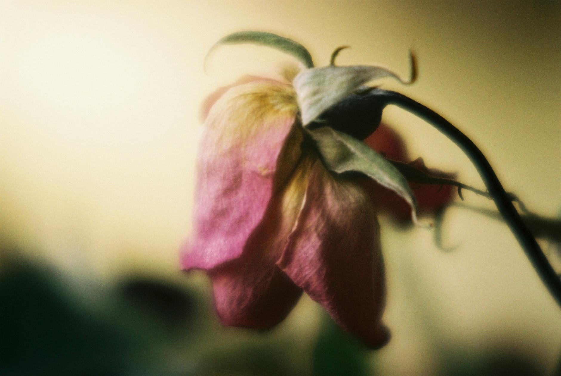 Fading Relationship Effort