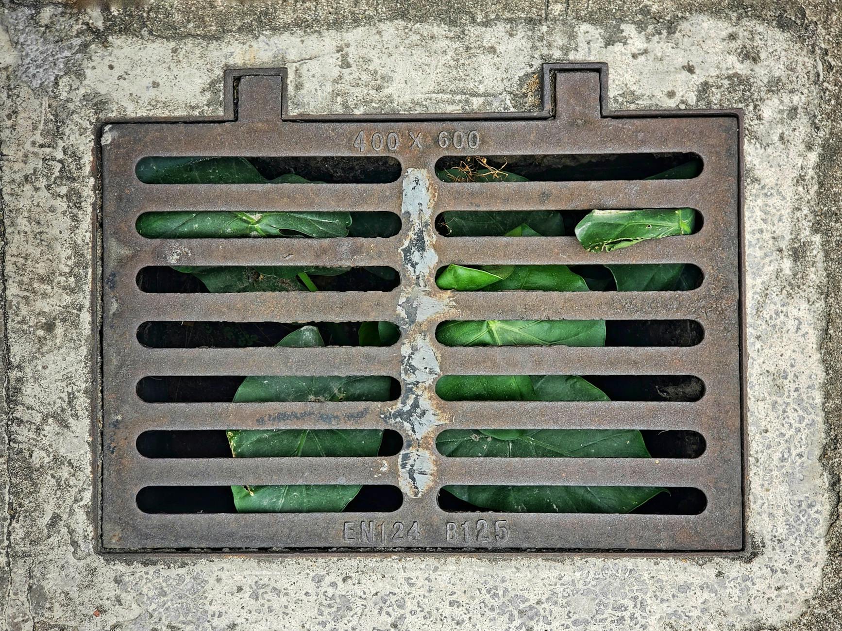 Drainage Home