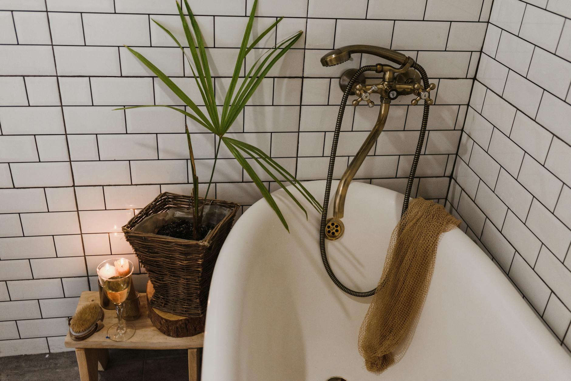 Indoor Plant Bathroom