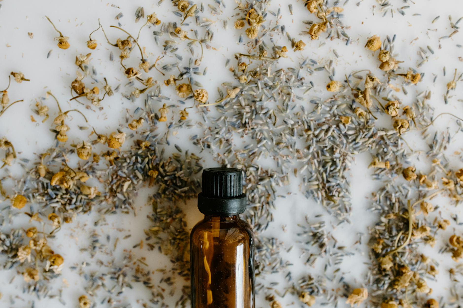 Roman Chamomile Essential Oil
