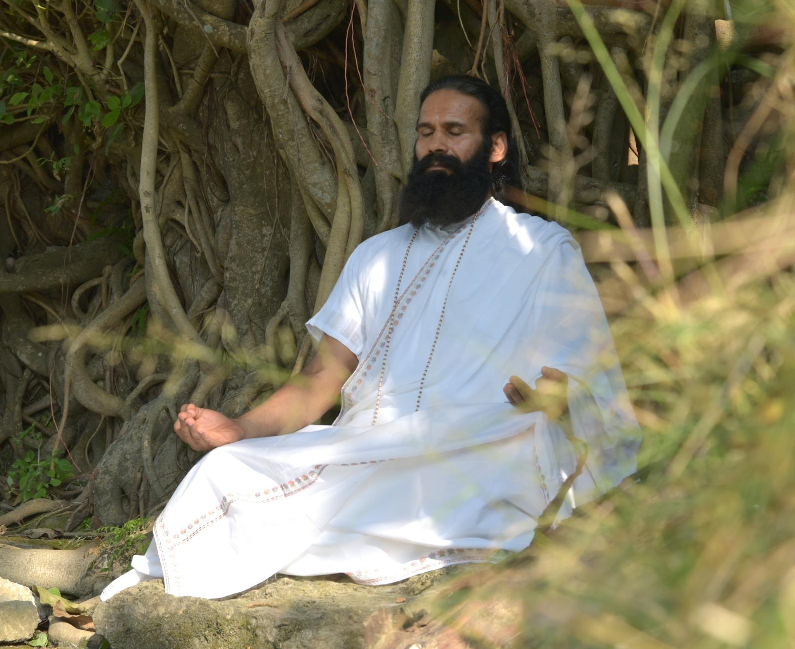 Meditation And Nature