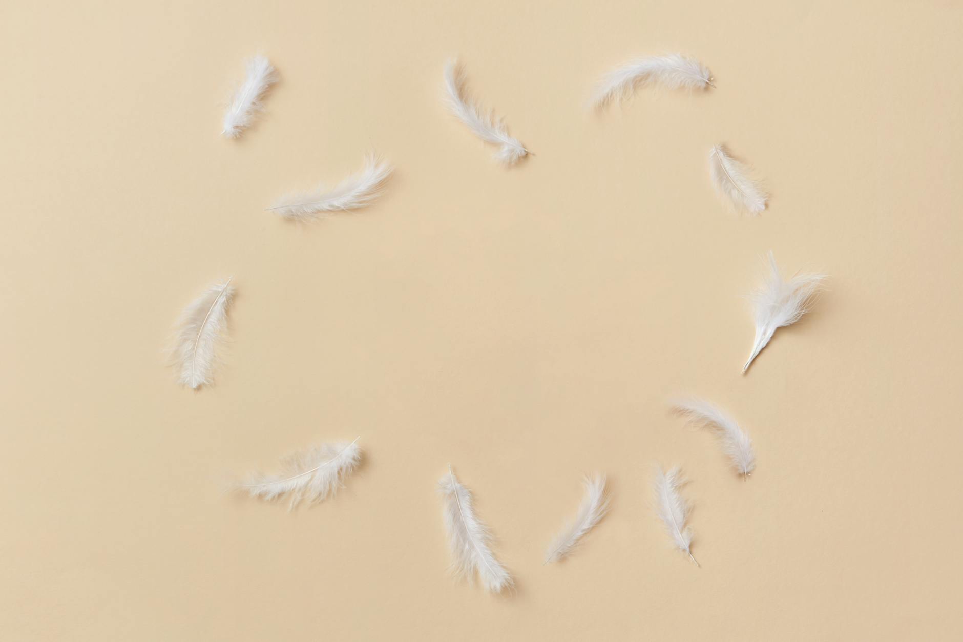 Scattered Breadcrumbs