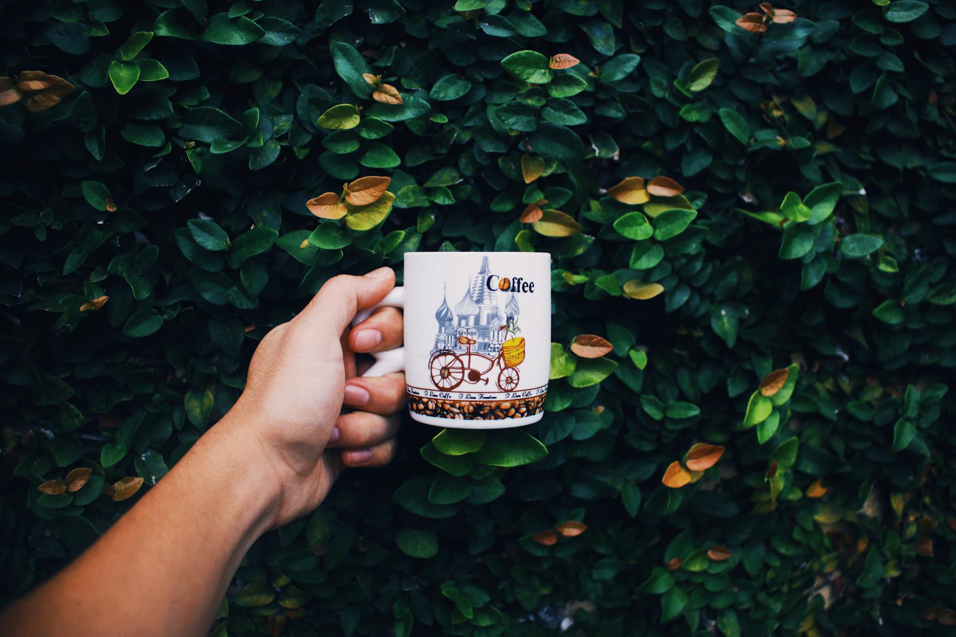 Mugs Souvenir