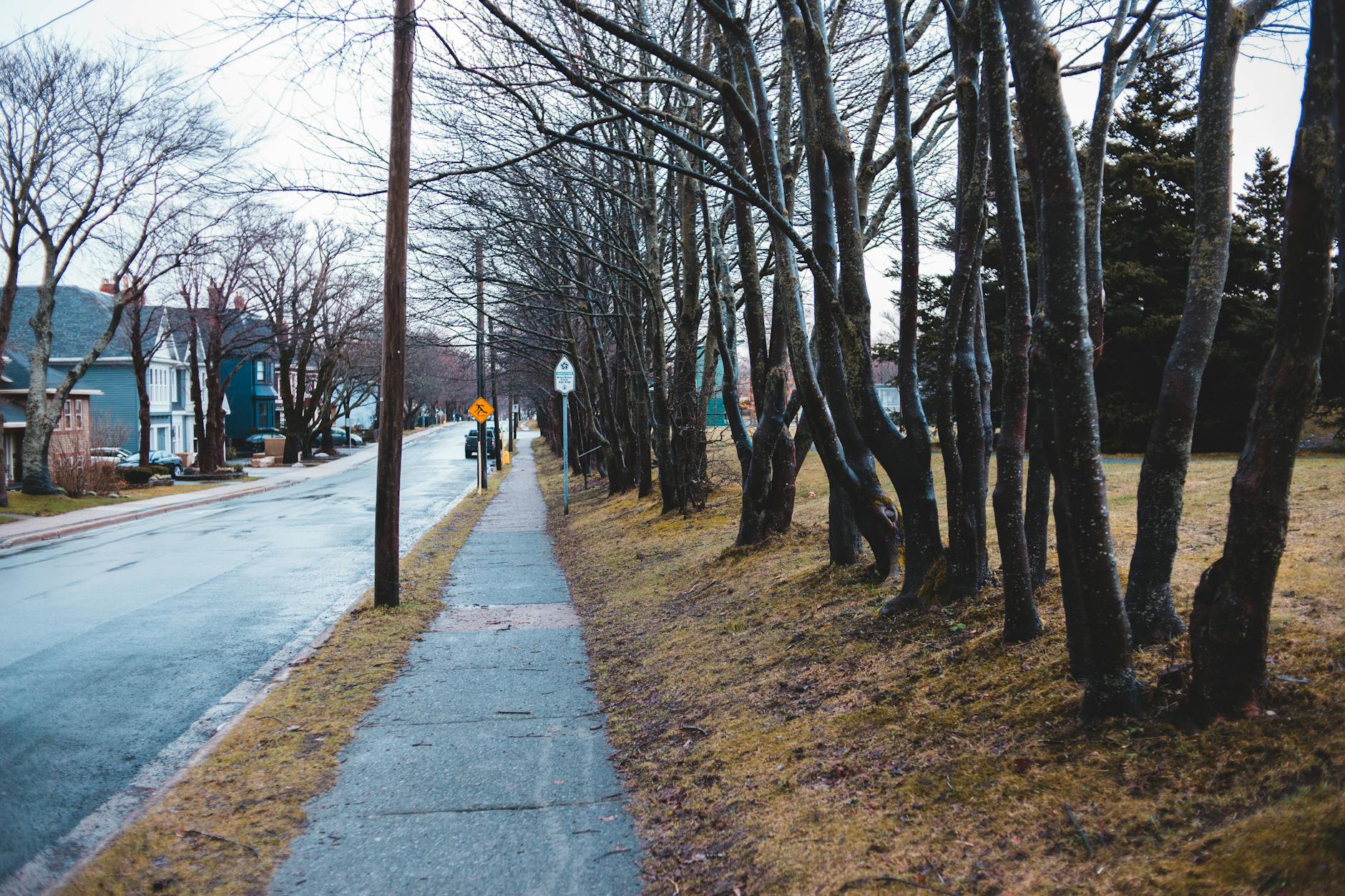 Empty Neighborhood Streets