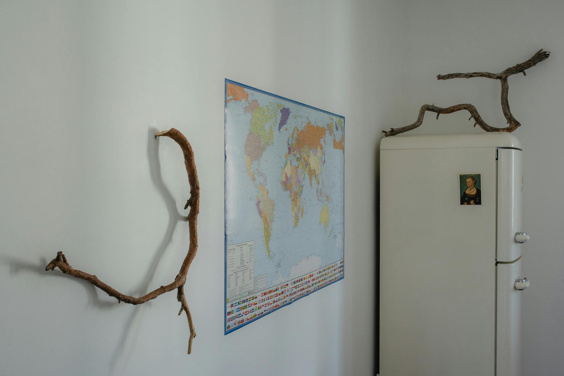 Refrigerator Coils Home