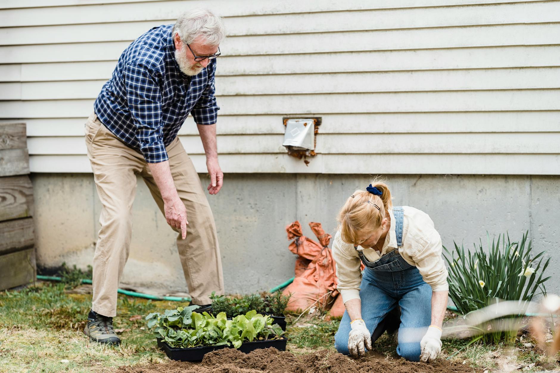 Overplanting Yard