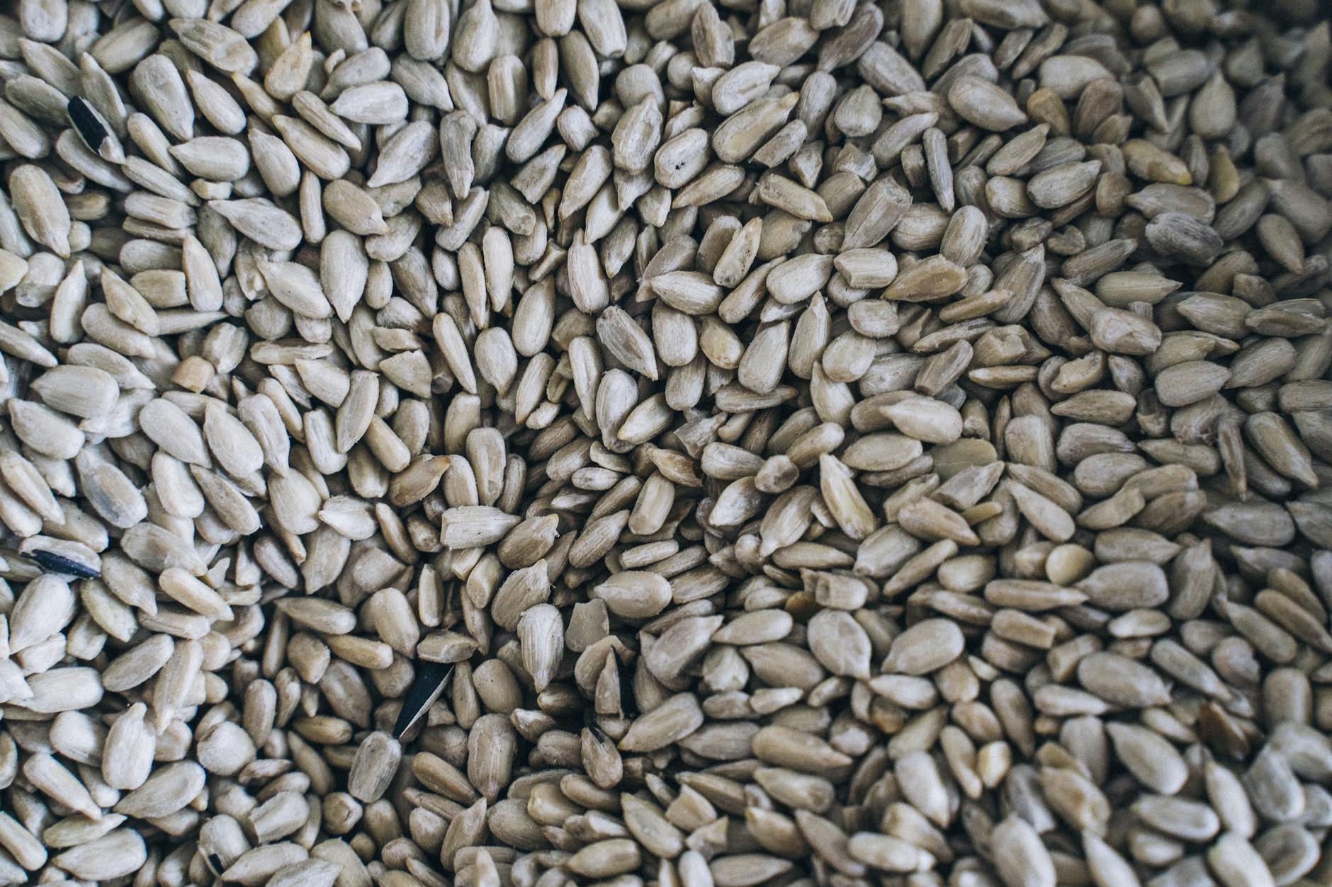 Refined Seed Oils Food