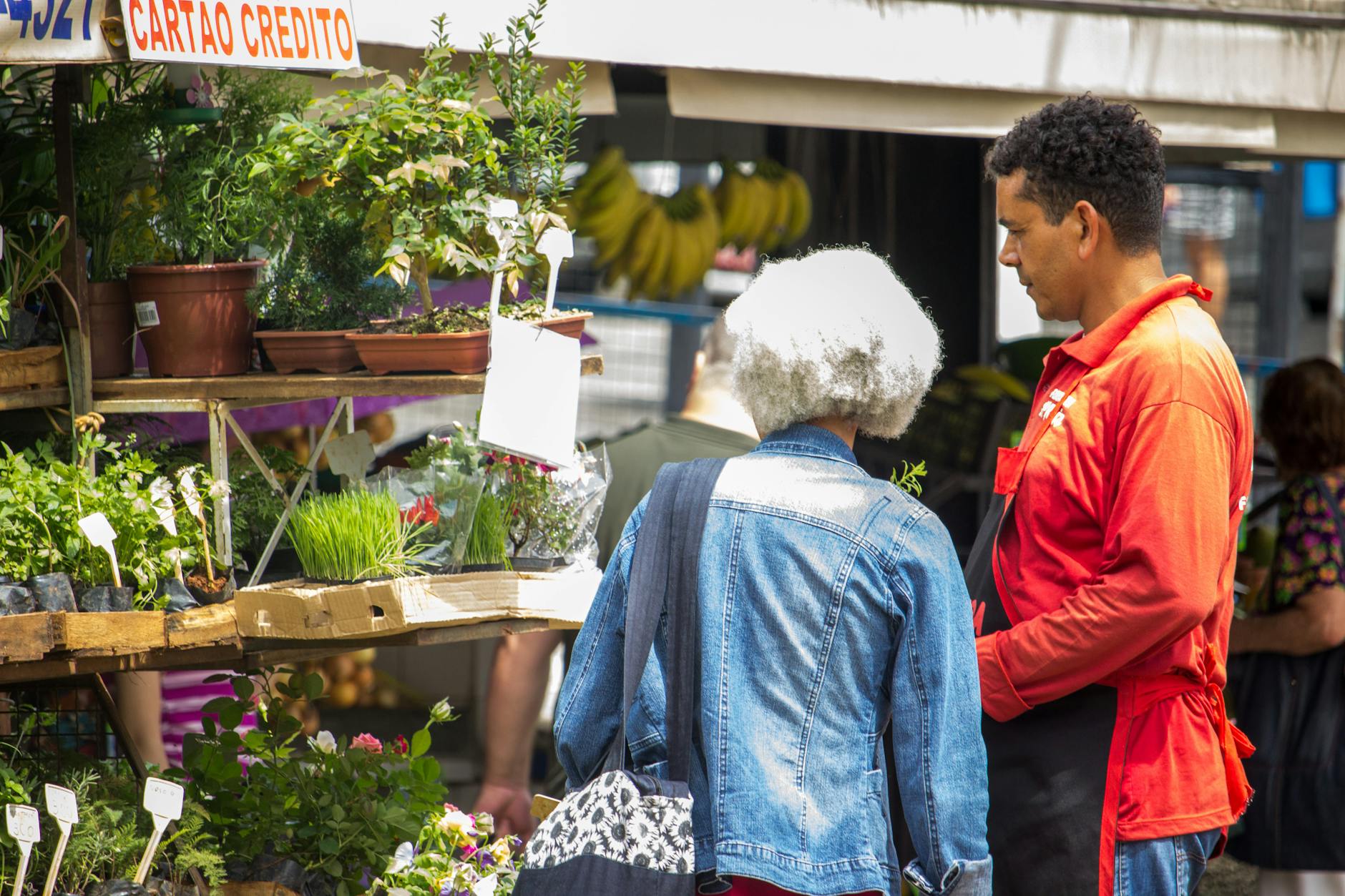 Haggling Nearby Site