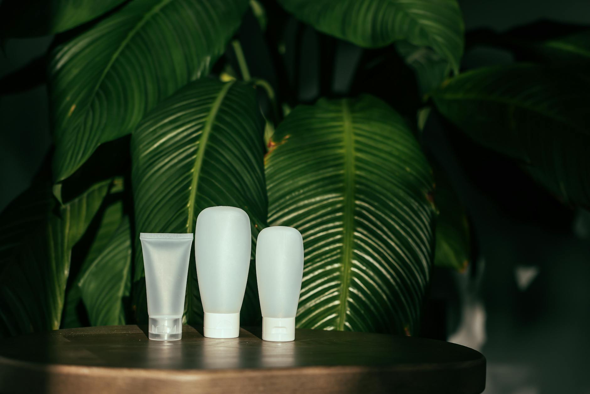 Greenwashed Product Packaging