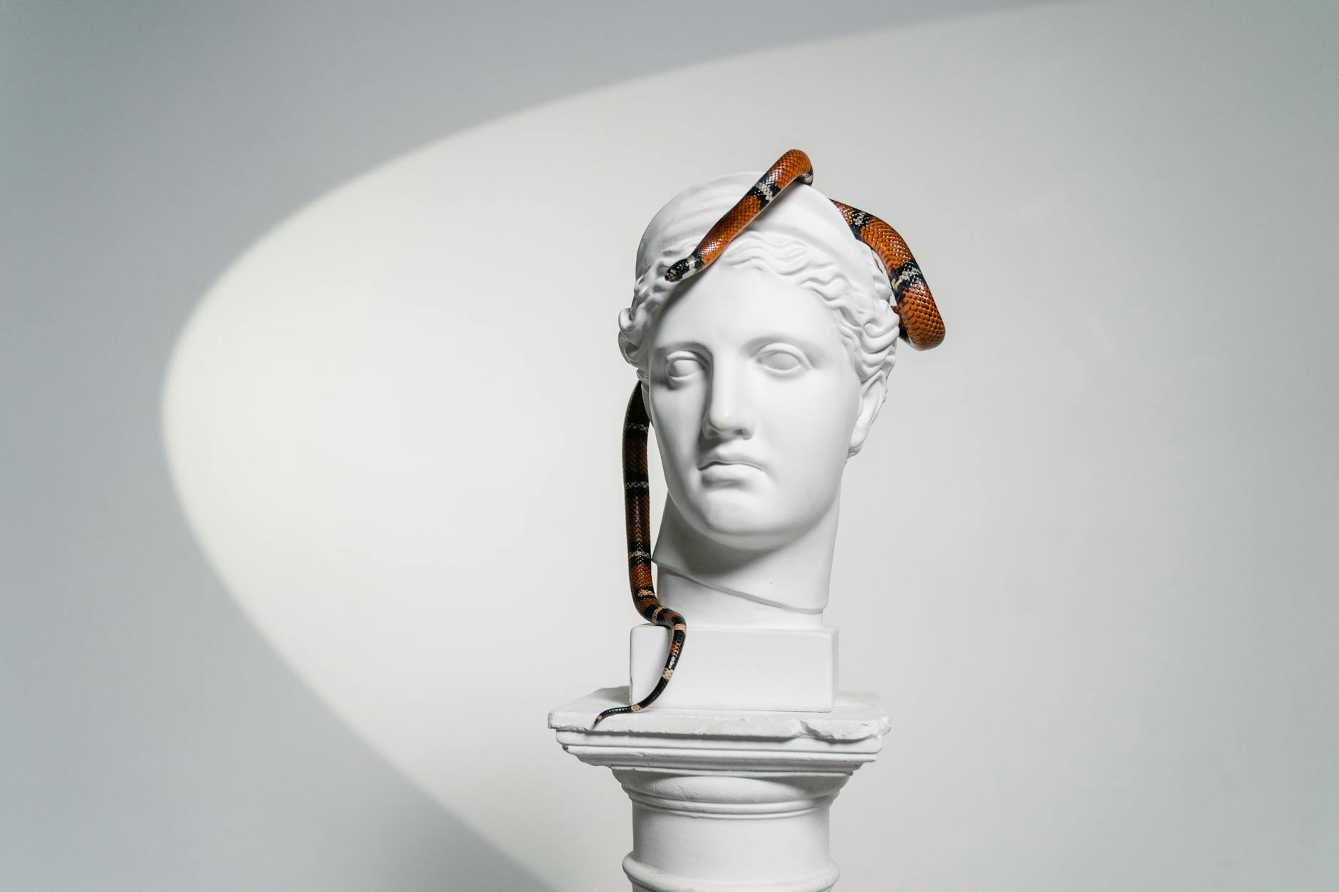 Fearful Brain Imagery