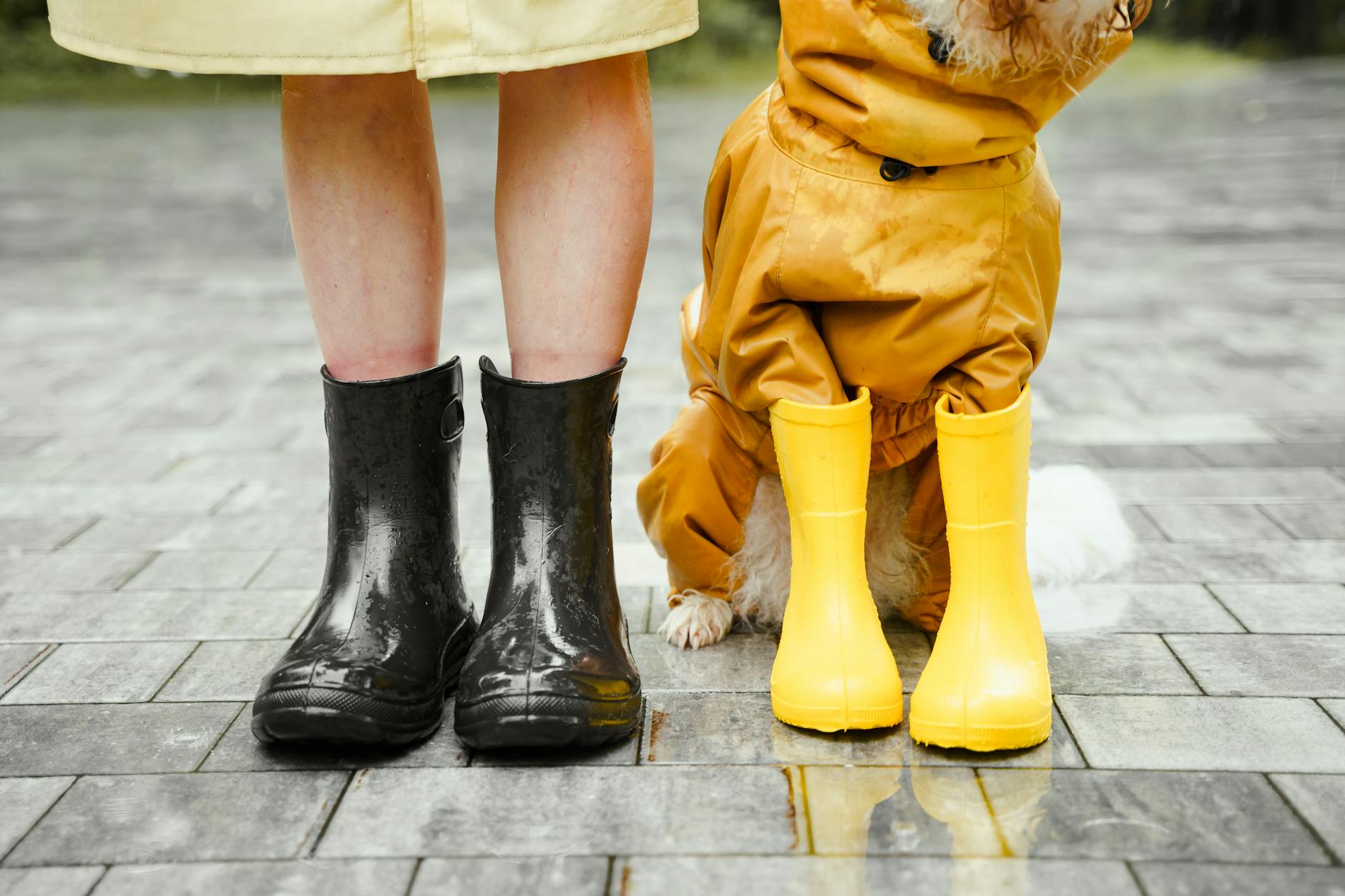 Rain Boots Cleaning