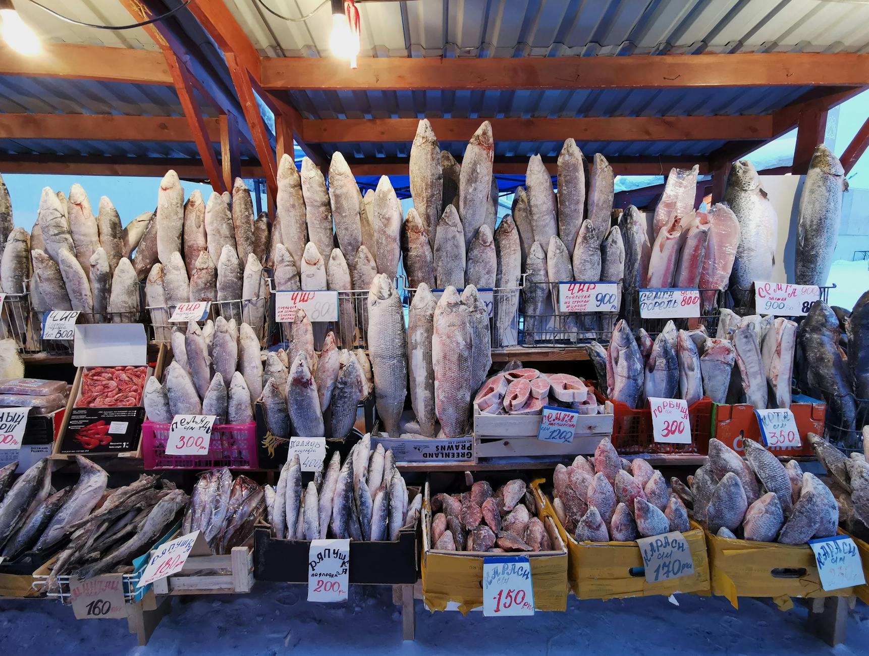 Fresh Seafood Display