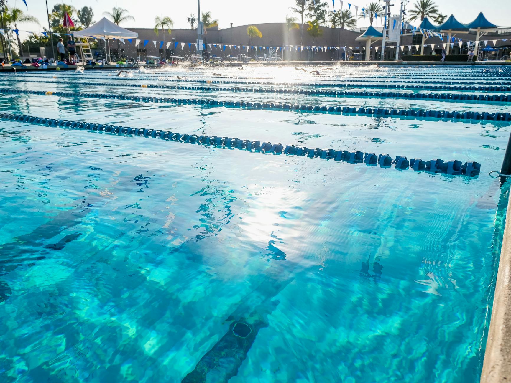 Urinate Public Swimming Pool
