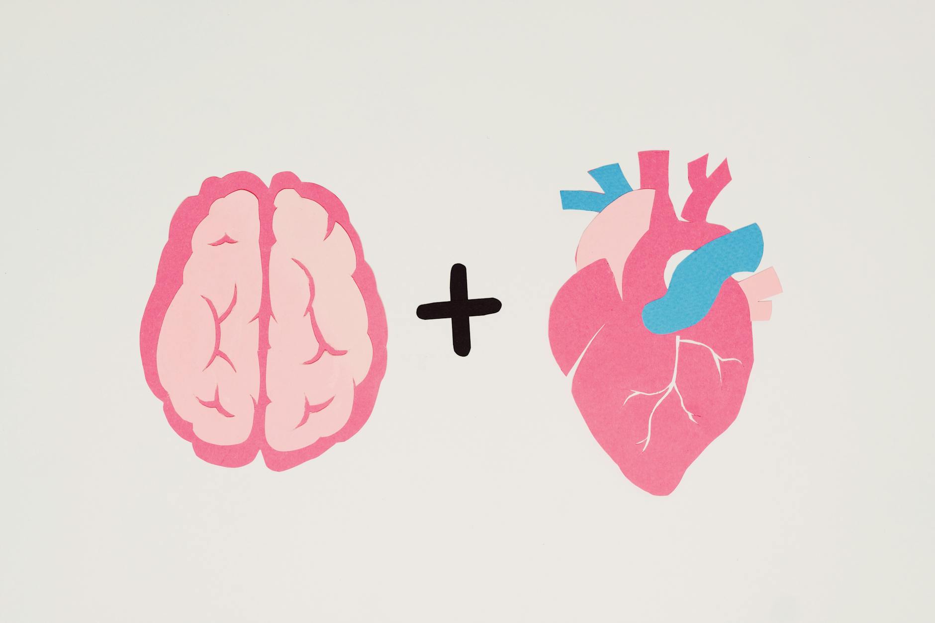 Brain And Heart Connection