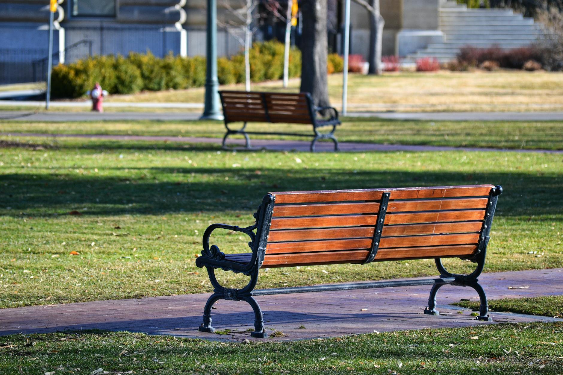 Empty Park Bench