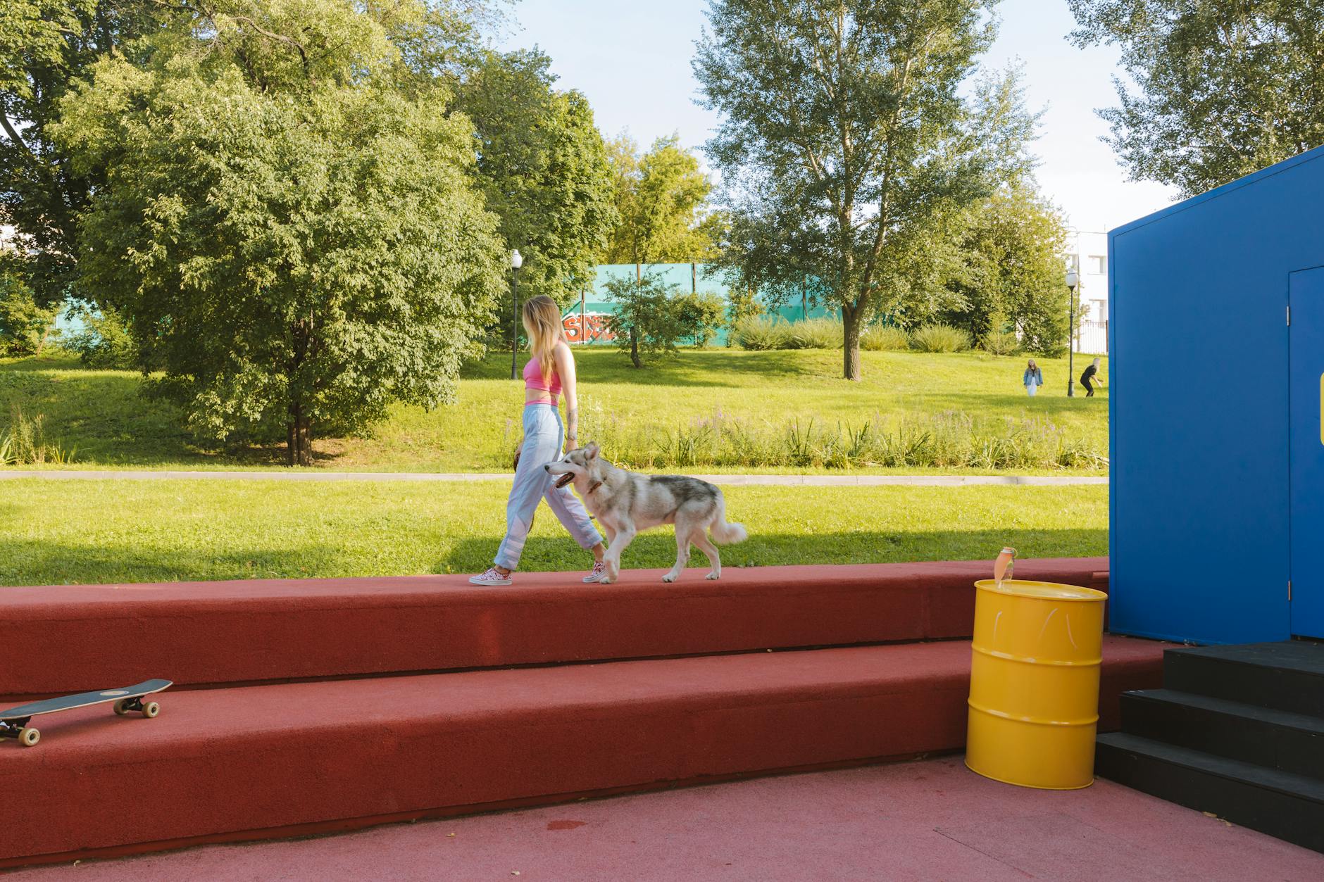 Structured Walks Dog