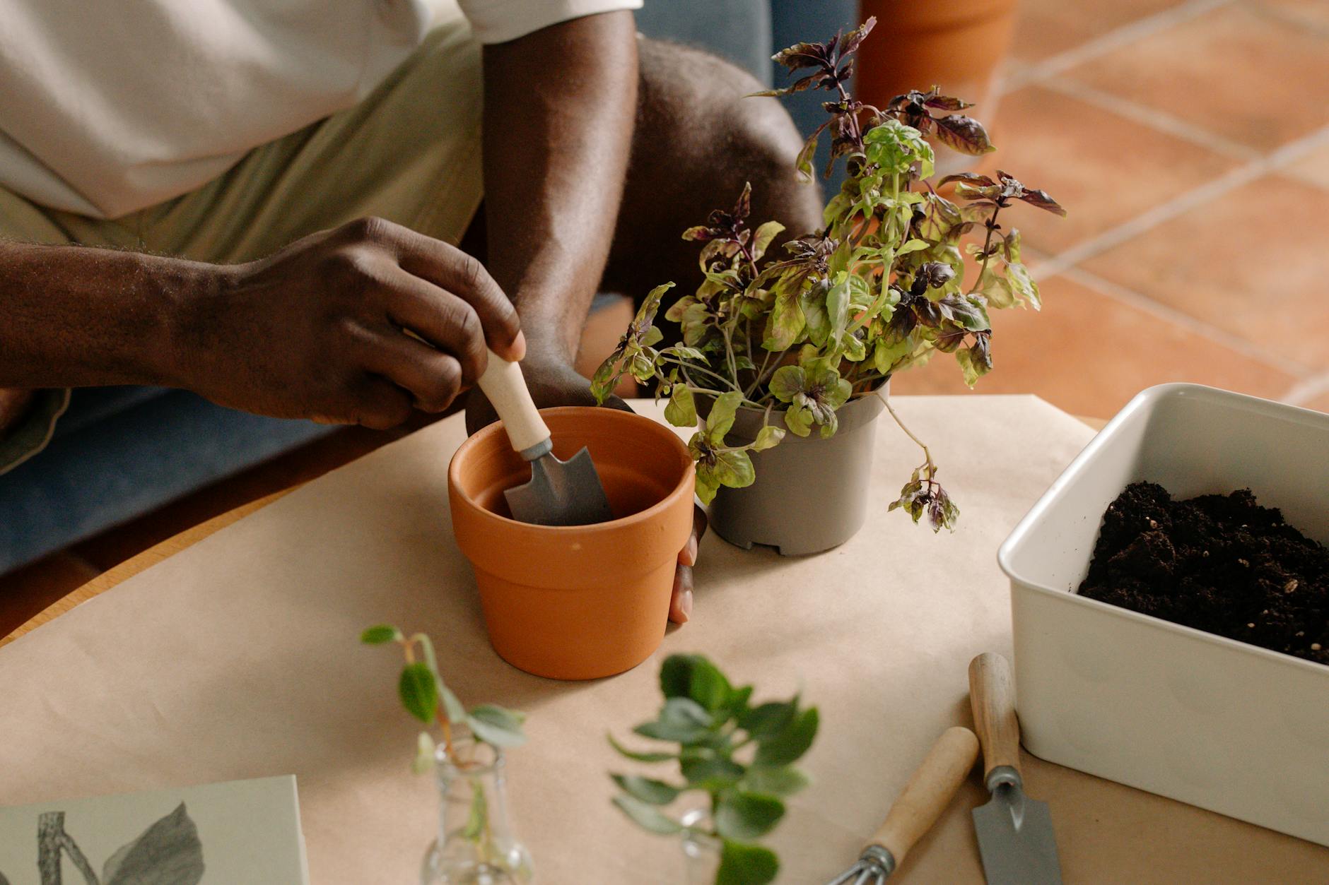 Garden Trowels Cleaning