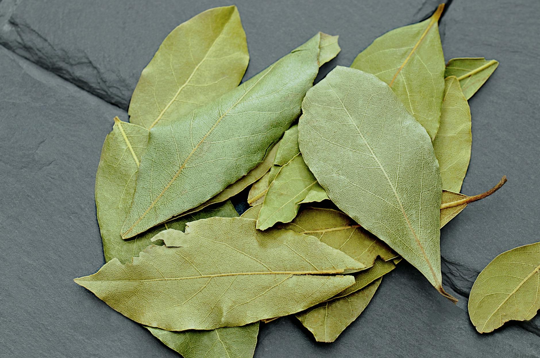Bay Leaves Food