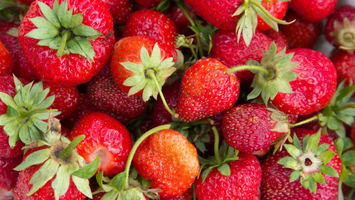 Strawberries Pack More Vitamin C Than You Might Expect