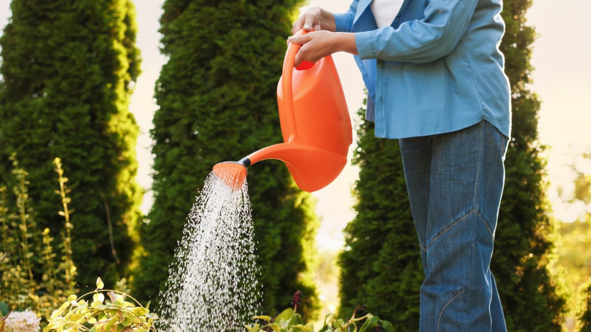 Ways You Are Overwatering Your Garden Without Even Realizing It