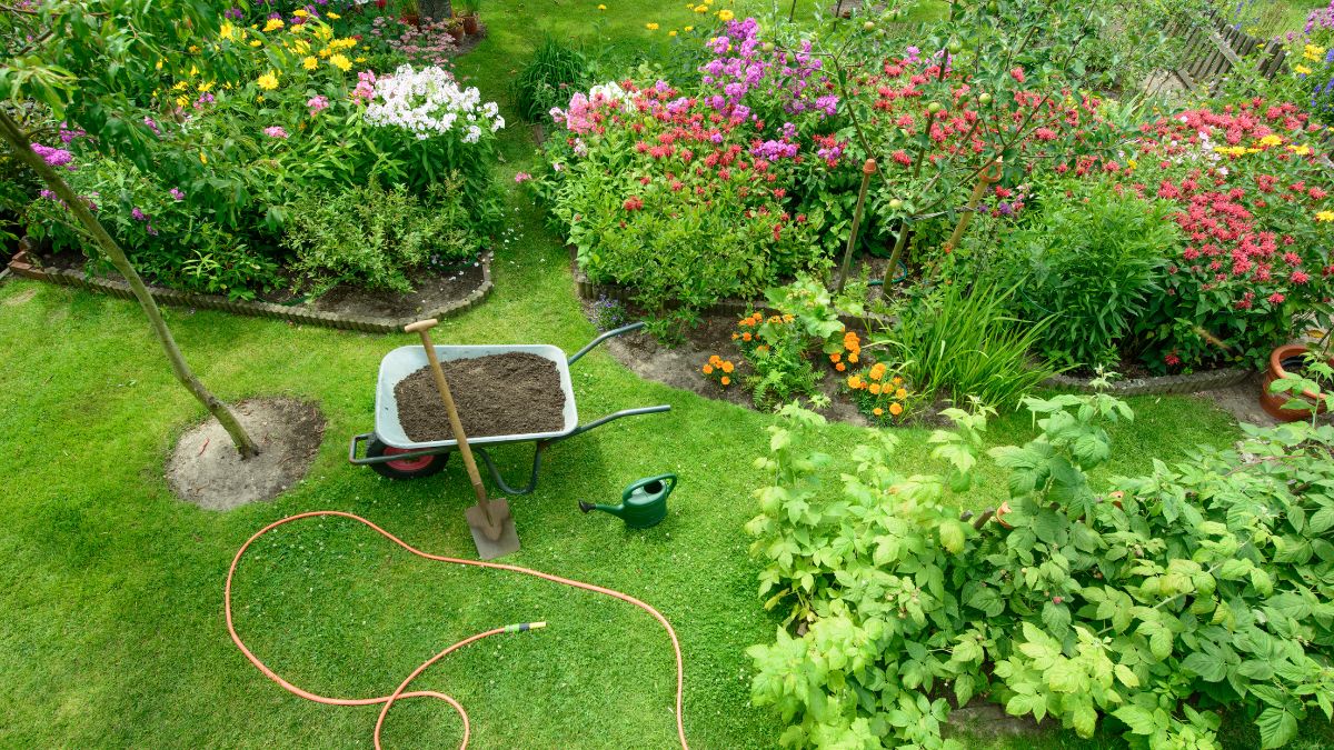 Bizarre Gardening Choices That Professional Landscapers Swear By But Hide