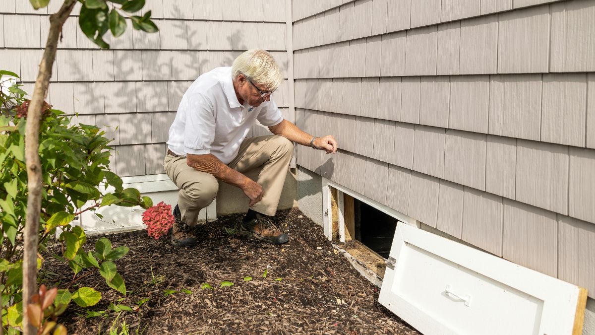 40 Terrifying Things Home Inspectors Find Hidden Inside Walls of Brand New Houses