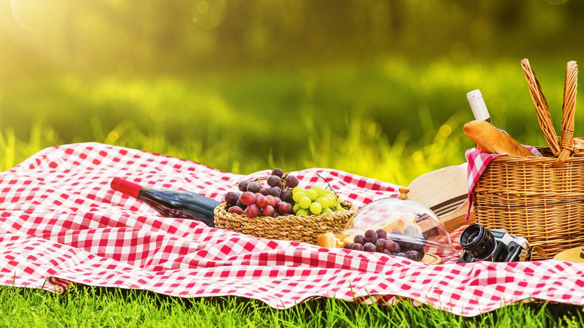 Controversial Picnic Packing Tips That Locals Use to Avoid Crowds