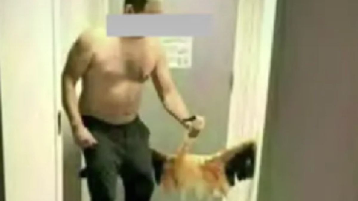 Canadian Tourist Lands in Jail After Bizarre Flamingo Theft at Las Vegas Hotel