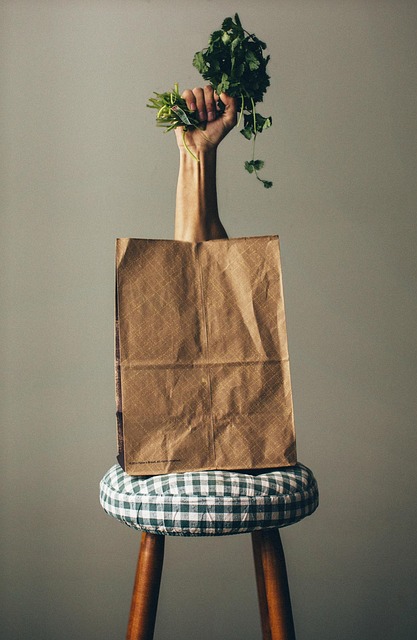 Grocery Bag 