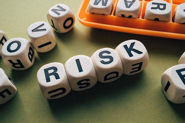 Risk Board Games