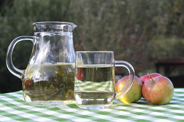 Apple Cider Vinegar Drinks