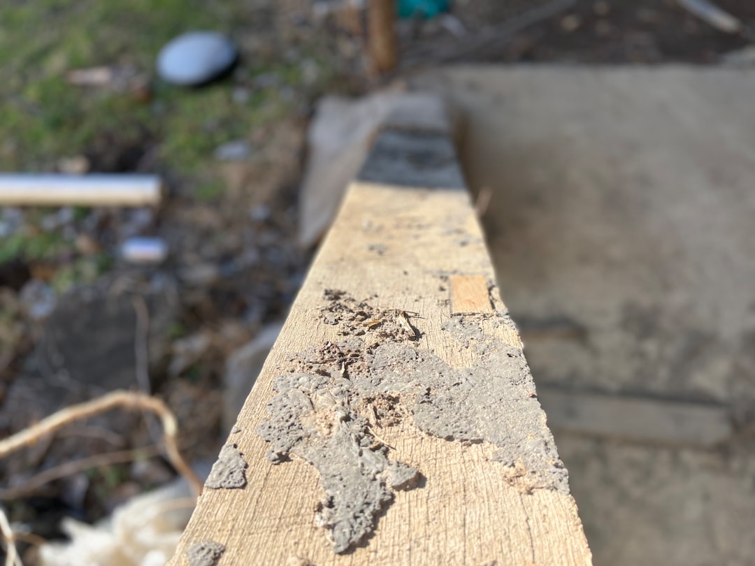Mold On Framing Lumber