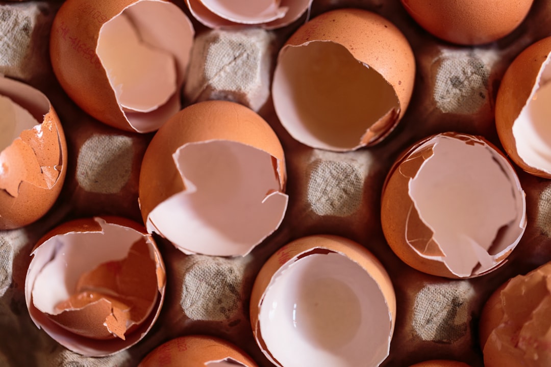 Eggshells