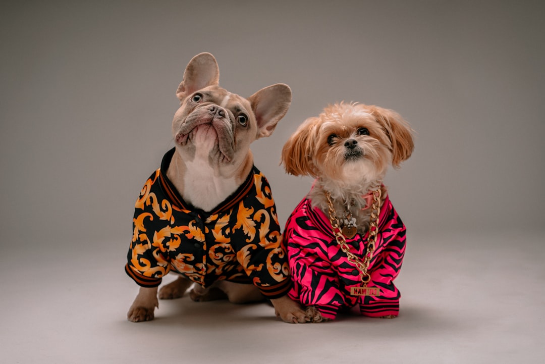 Luxury Pet Culture