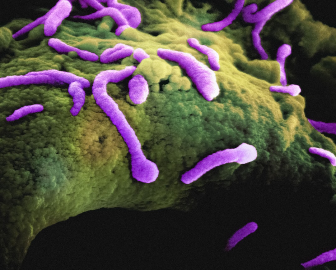 Fecal Bacteria