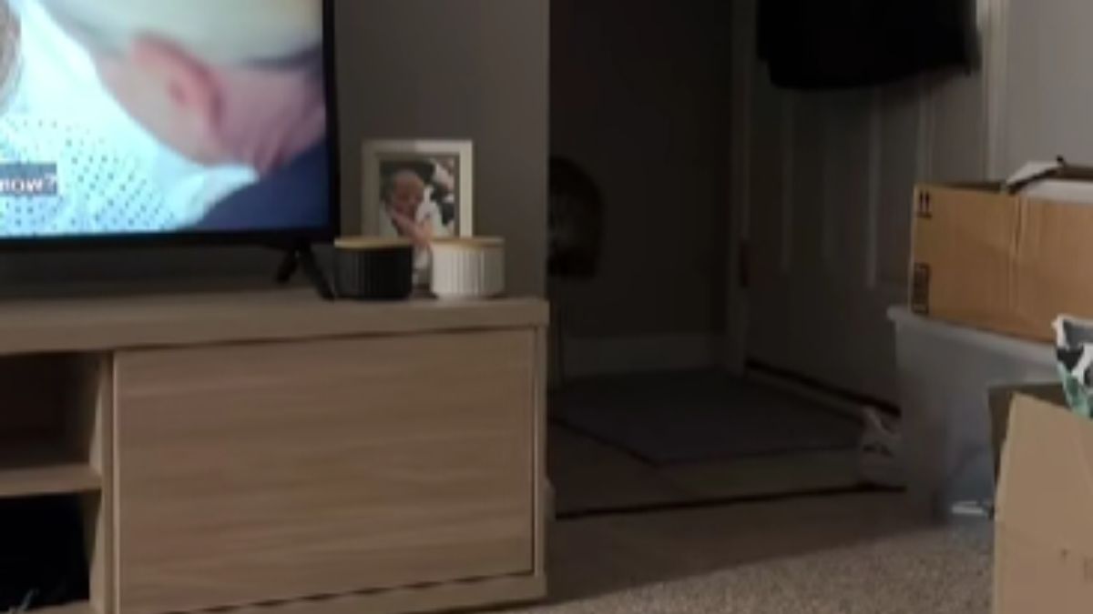 A South Carolina Mom Thought Her Toddler Was Fast Asleep but He Had Been Silently Watching Her From the Doorway the Whole Time