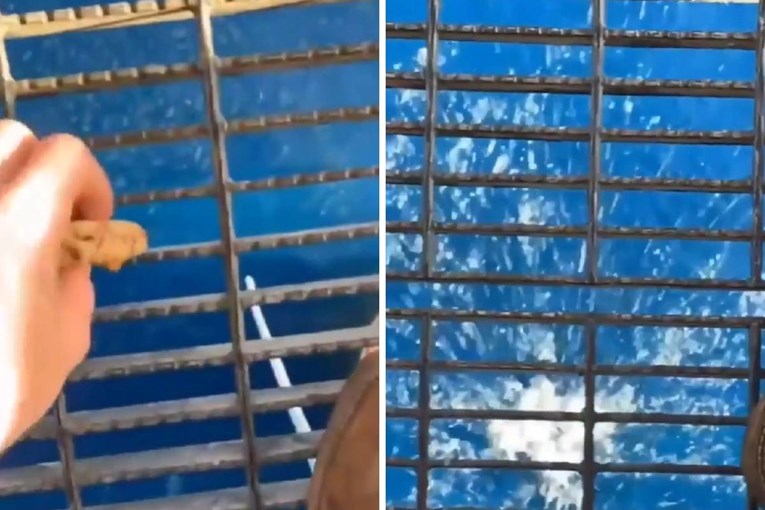 A Worker Tossed a Scrap of Food off an Oil Platform and the Ocean’s Reaction Horrified the Internet