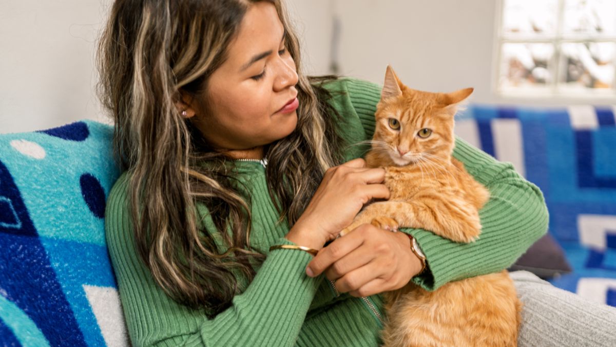 Bizarre Pet Care Habits That Create the Calmest Animals Without Extra Cost