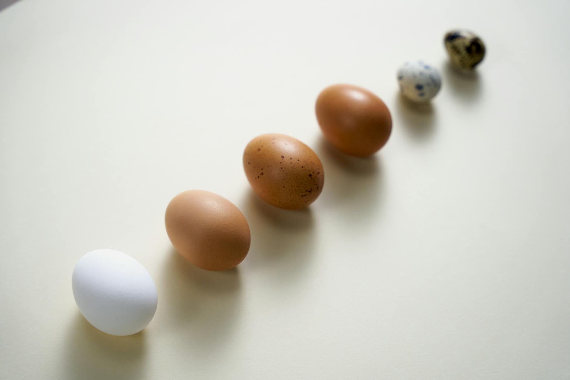 Assorted Protein Sources