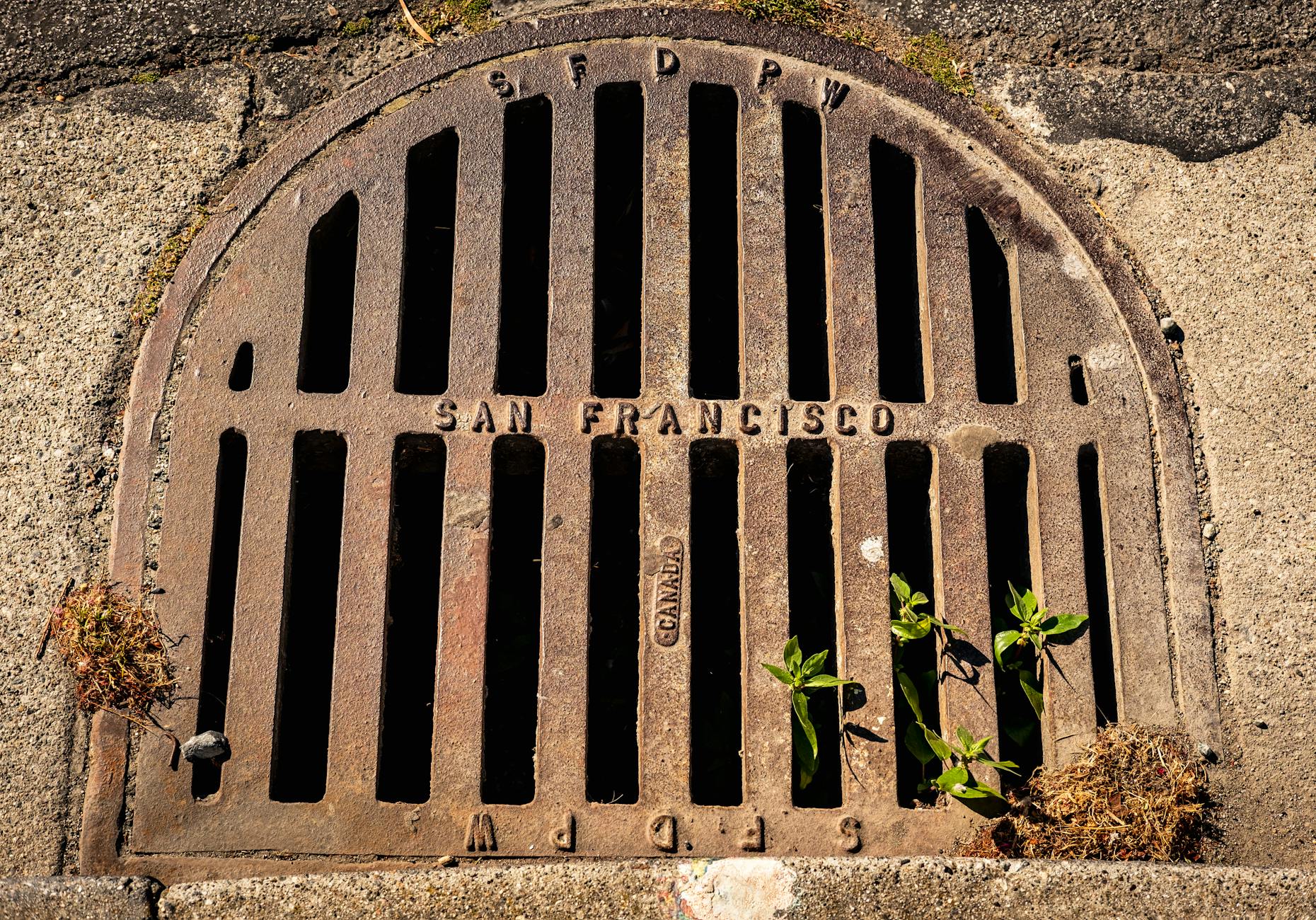 Drain Blockage