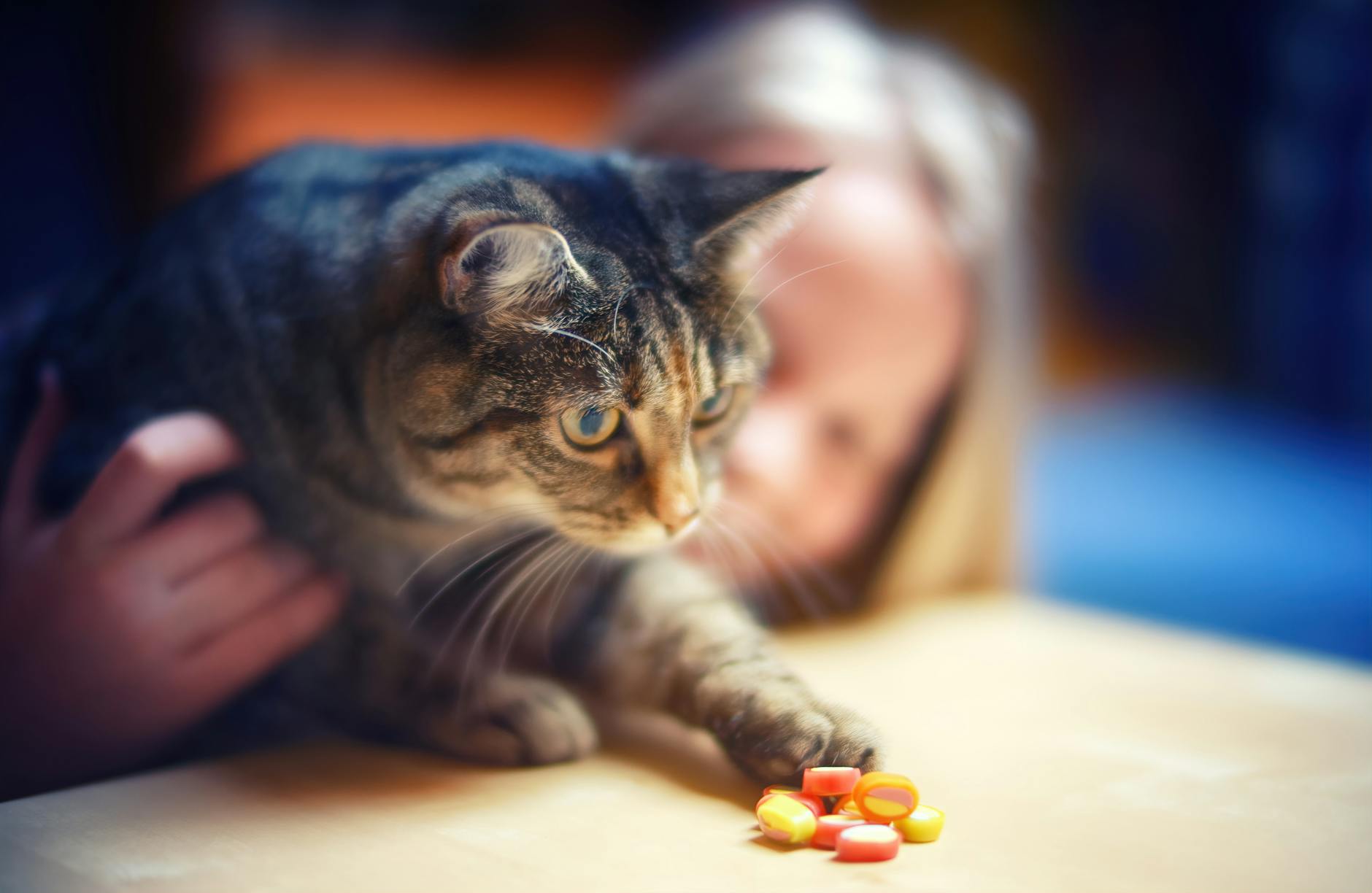 pet pills