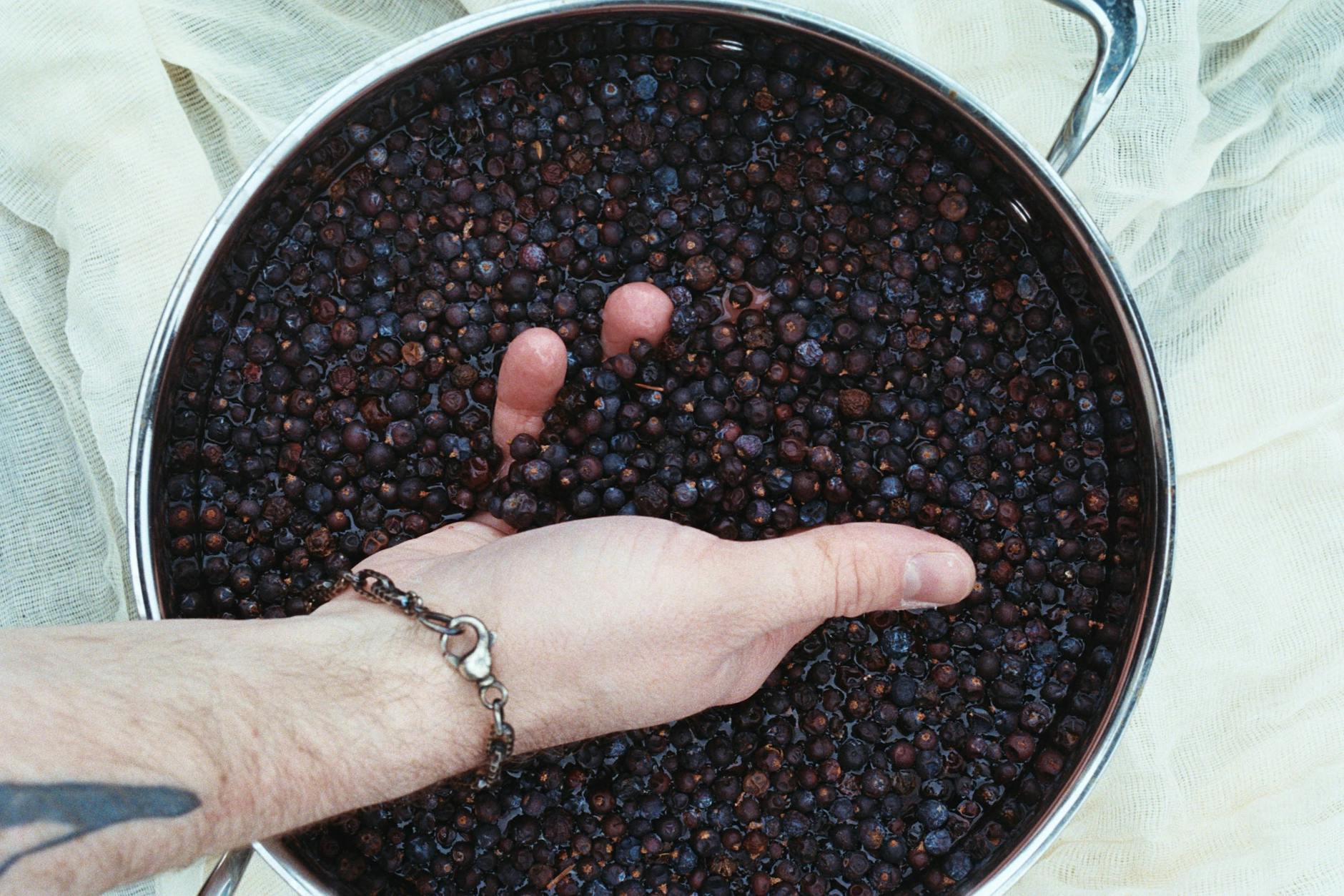 Juniper Berry Essential Oils