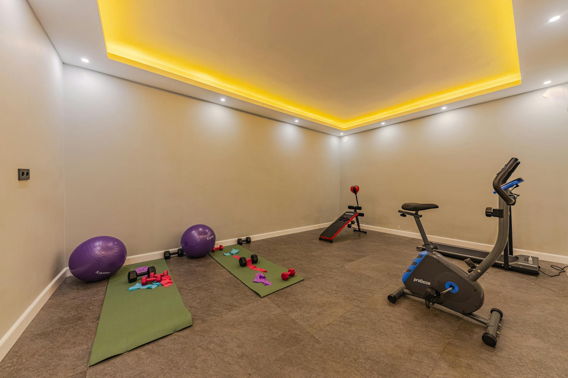 Interior Design Gym