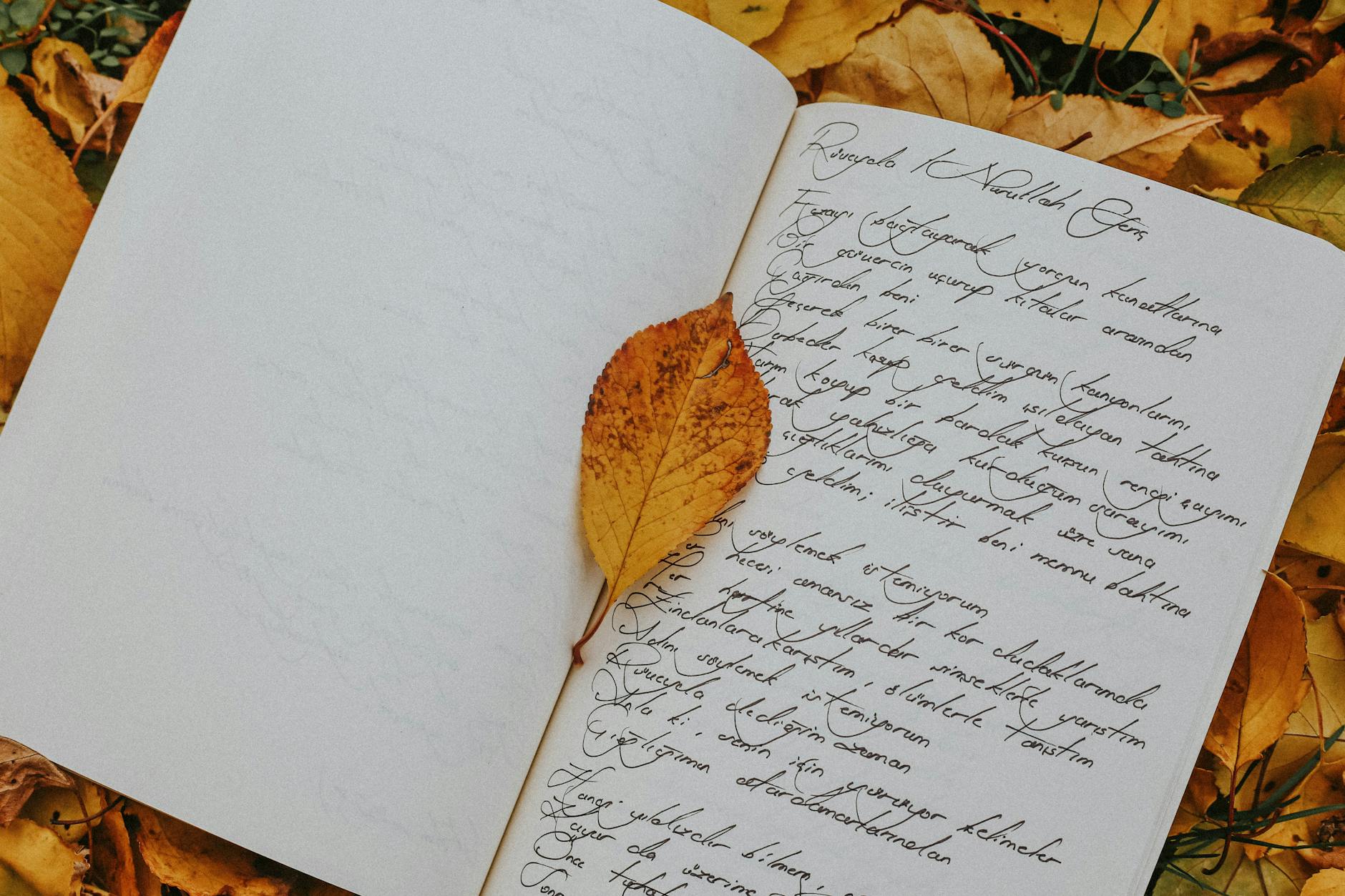 Overfilled Notebooks