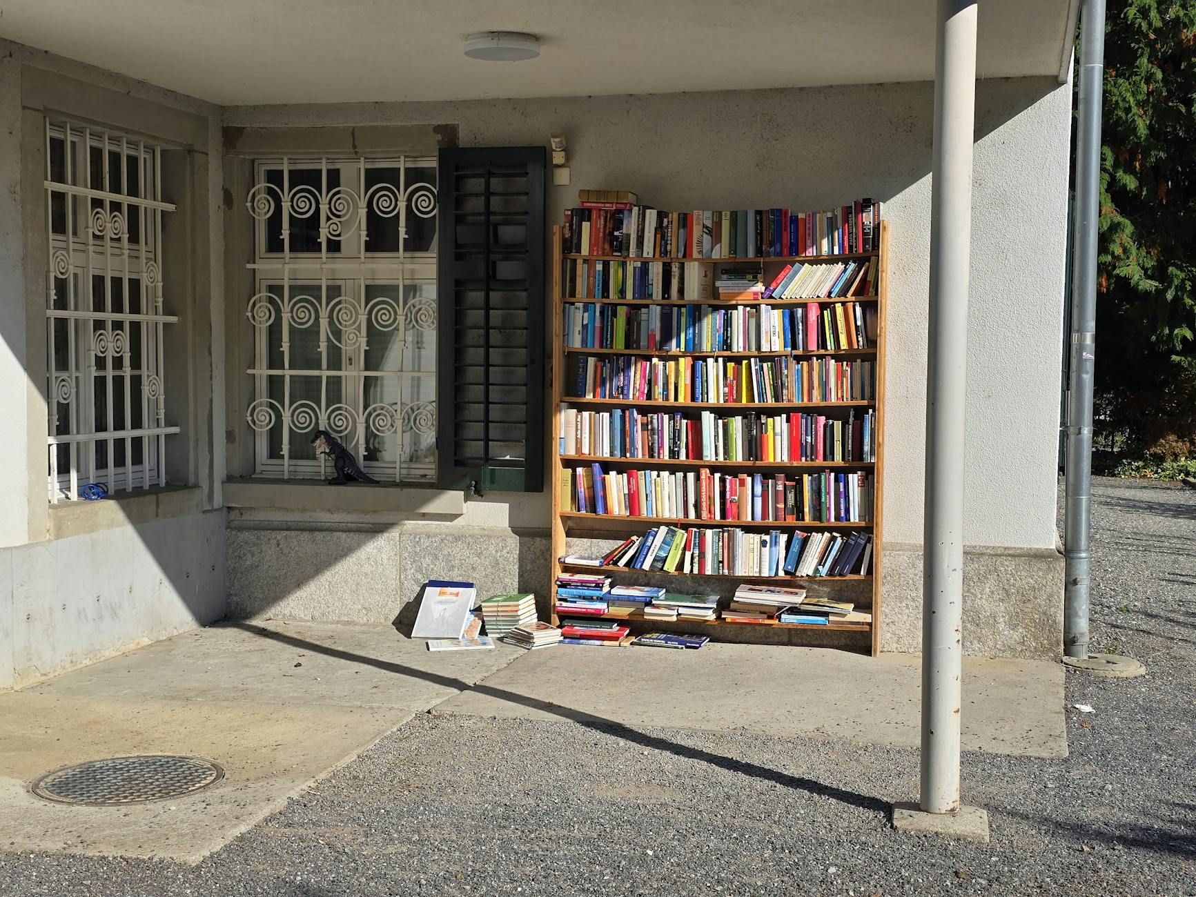 Long Overdue Library