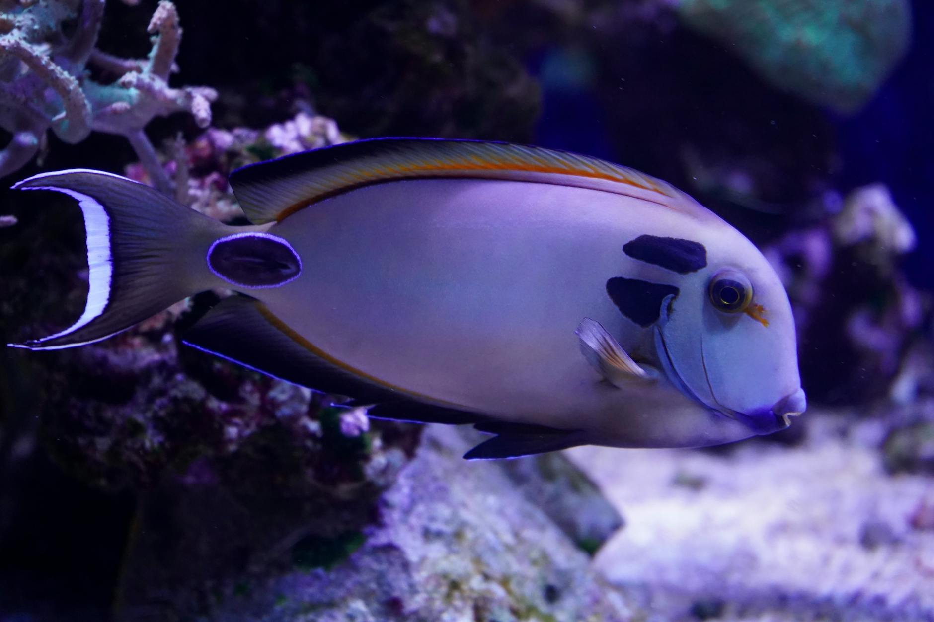 Reef Safe Beauty Products